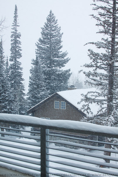 Woke up to fresh snow at Snowbird / Alta, Utah