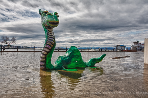 Champ, Lake Champlain's lake monster, is back in his element.